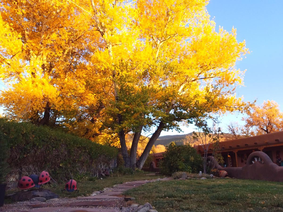 Inn On The Rio Taos Kültér fotó